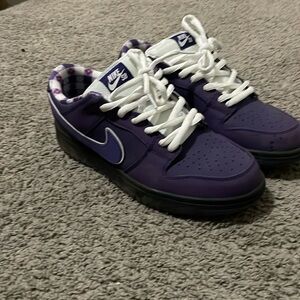 NIKE SB Dunks Purple Lobsters (Good condition)